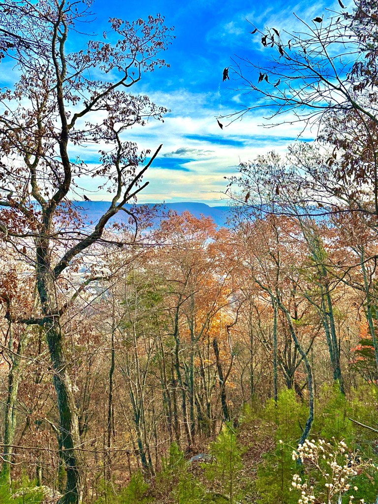 View from future passive house in Dunlap, Tennessee. Picture by Happy Vegan Campers.