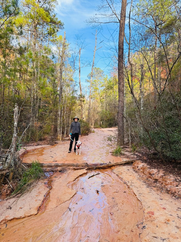 Daniel and Peter at Providence Canyon State Park in Lumpkin, Georgia. Picture by Happy Vegan Campers.