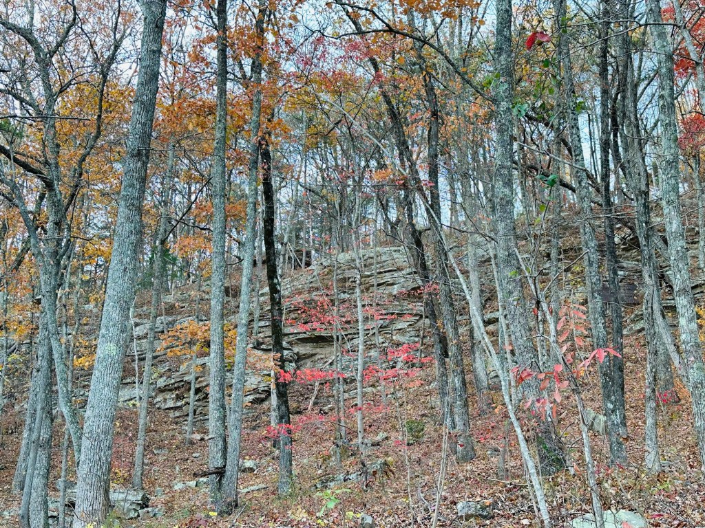 Future site of passive house in Dunlap, Tennessee. Picture by Happy Vegan Campers.