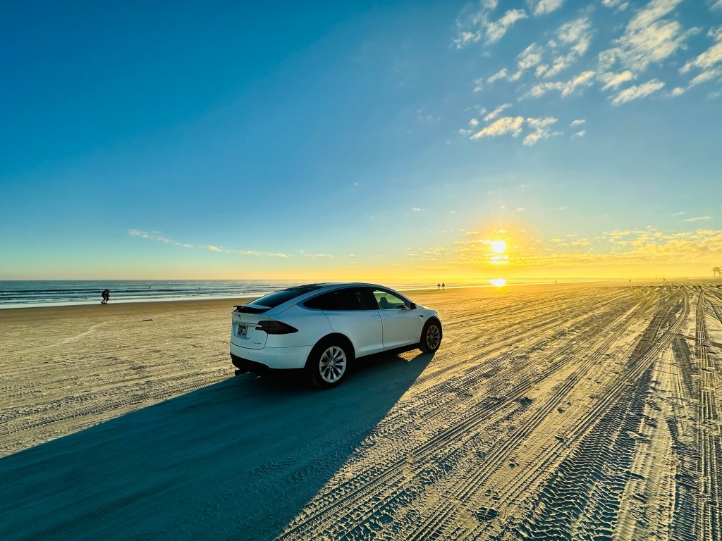 Tesla on Ponce Inlet Dog Beach in New Smyrna Beach, Florida. Picture by Happy Vegan Campers.