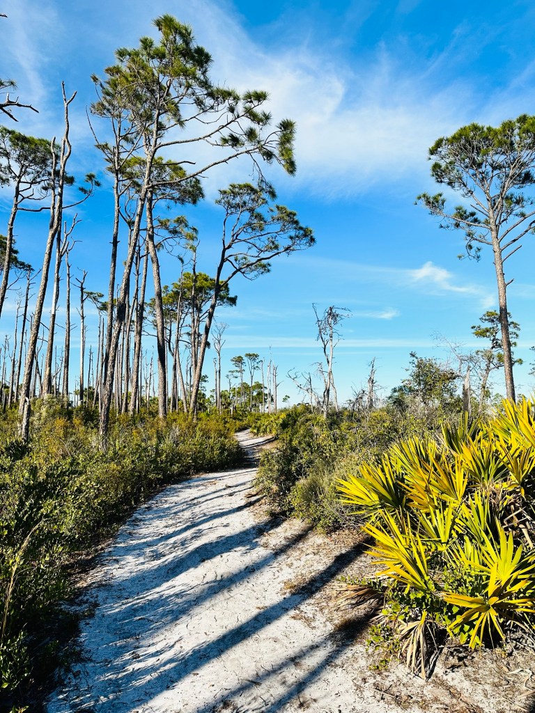 Trail at T.H. Memorial St. Joseph Peninsula State Park in Port St. Joe, Florida. Picture by Happy Vegan Campers.