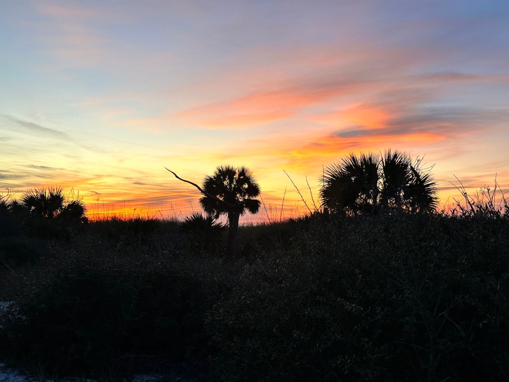 T.H. Memorial St. Joseph Peninsula State Park in Port St. Joe, Florida. Picture by Happy Vegan Campers.