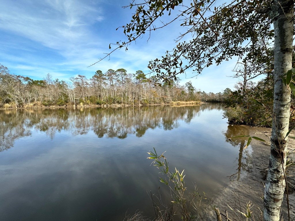 Wolf River at TLC Wolf River Resort in Pass Christian, Mississippi. Picture by Happy Vegan Campers.