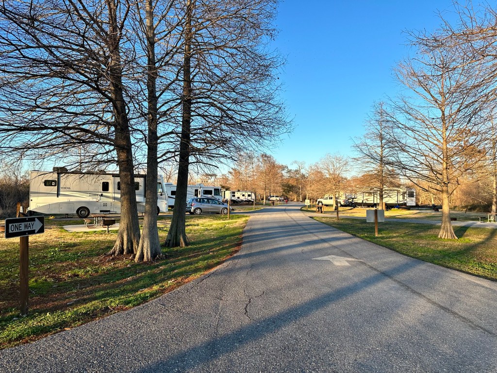 Bayou Segnette State Park in Westwego, Louisiana. Picture by Happy Vegan Campers.