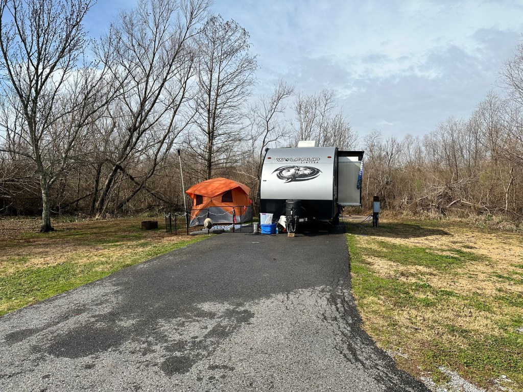 Campsite 66 at Bayou Segnette State Park in Westwego, Louisiana. Picture by Happy Vegan Campers.
