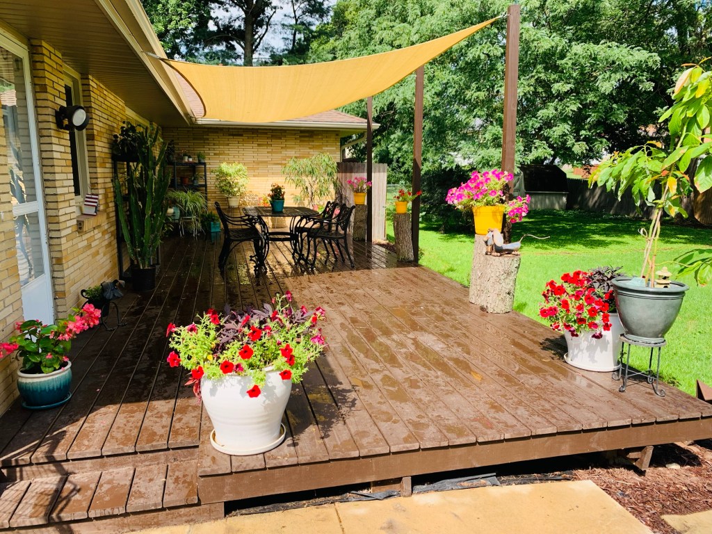 House in Jackson, Michigan. Picture by Happy Vegan Campers.