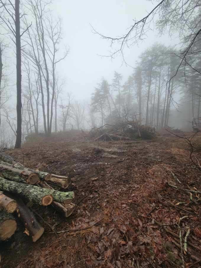 Happy Vegan Campers future site of passive house overlooking Sequatchie Valley