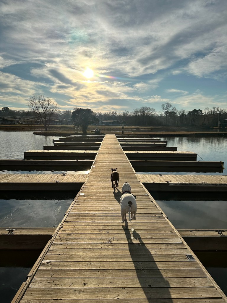 Dock to Dog Island at Lake Conroe RV & Camping Resort in Conroe in Willis, Texas. Picture by Happy Vegan Campers.