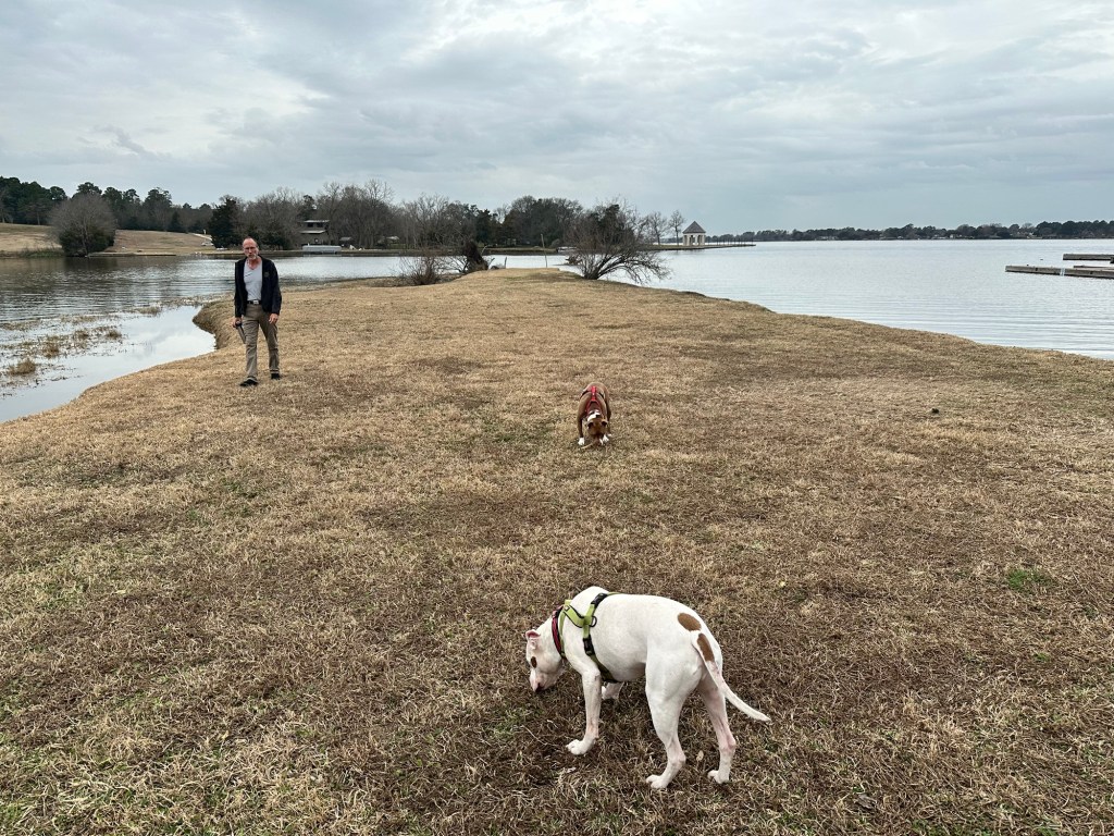 Dog Island at Lake Conroe RV & Camping Resort in Conroe in Willis, Texas. Picture by Happy Vegan Campers.