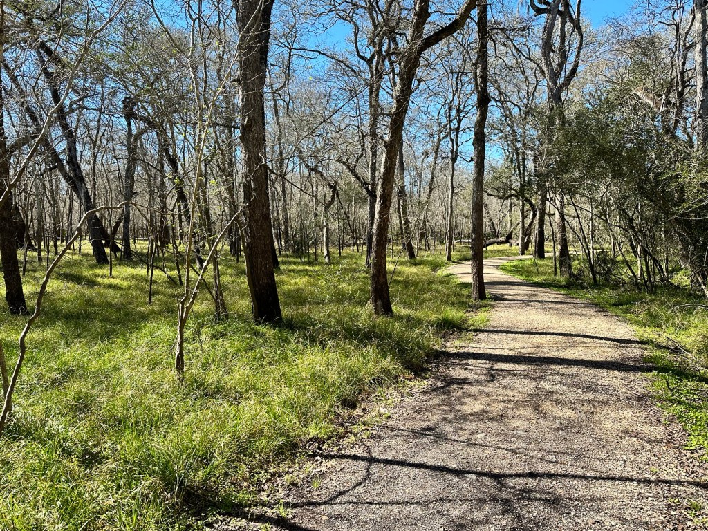 Trail at Brazos Bend State Park in Needville, Texas. Picture by Happy Vegan Campers.