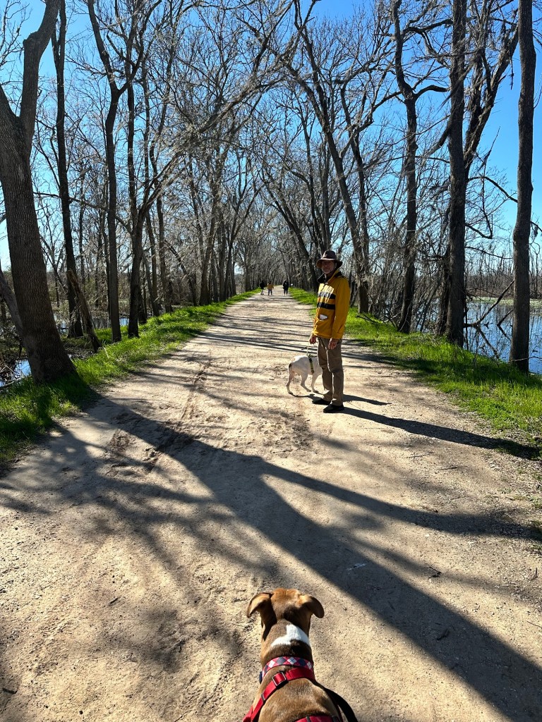 Trail at Brazos Bend State Park in Needville, Texas. Picture by Happy Vegan Campers.