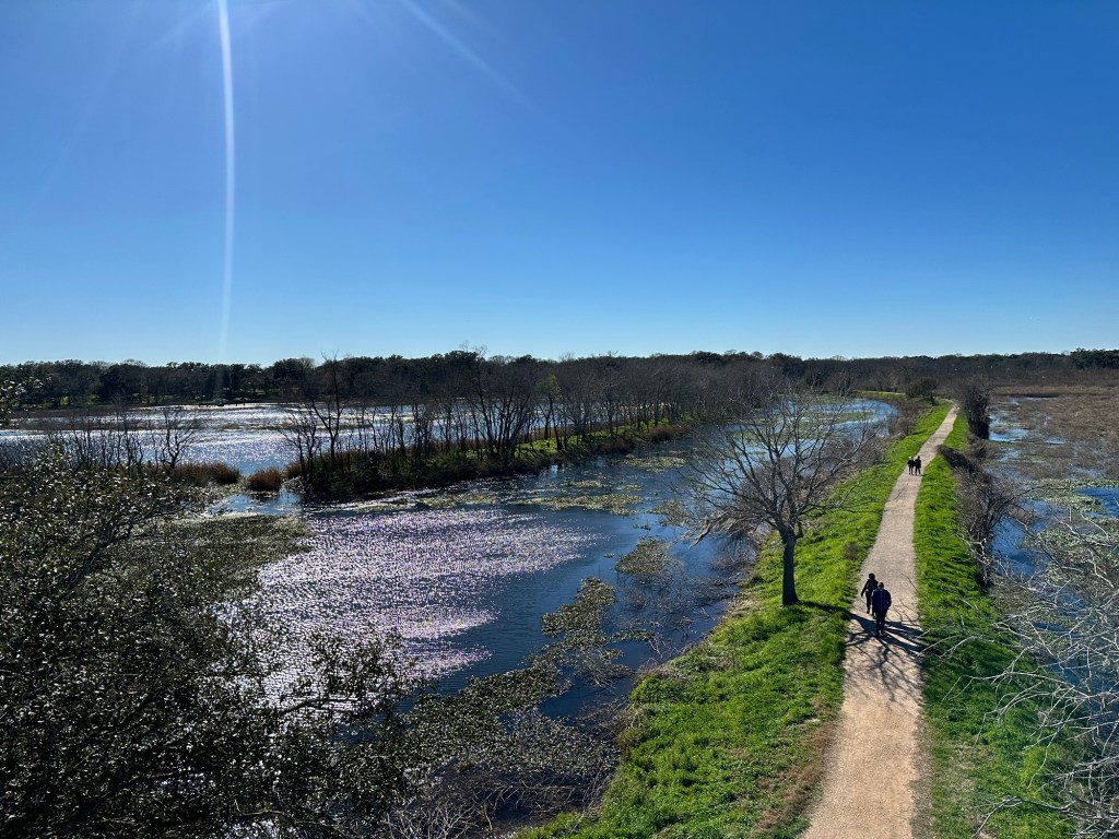 Trail at Brazos Bend State Park in Needville, Texas. Picture by Happy Vegan Campers.