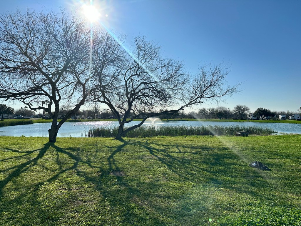 Effluent pond at Seawind RV Resort in Riviera. Texas. Picture by Happy Vegan campers.