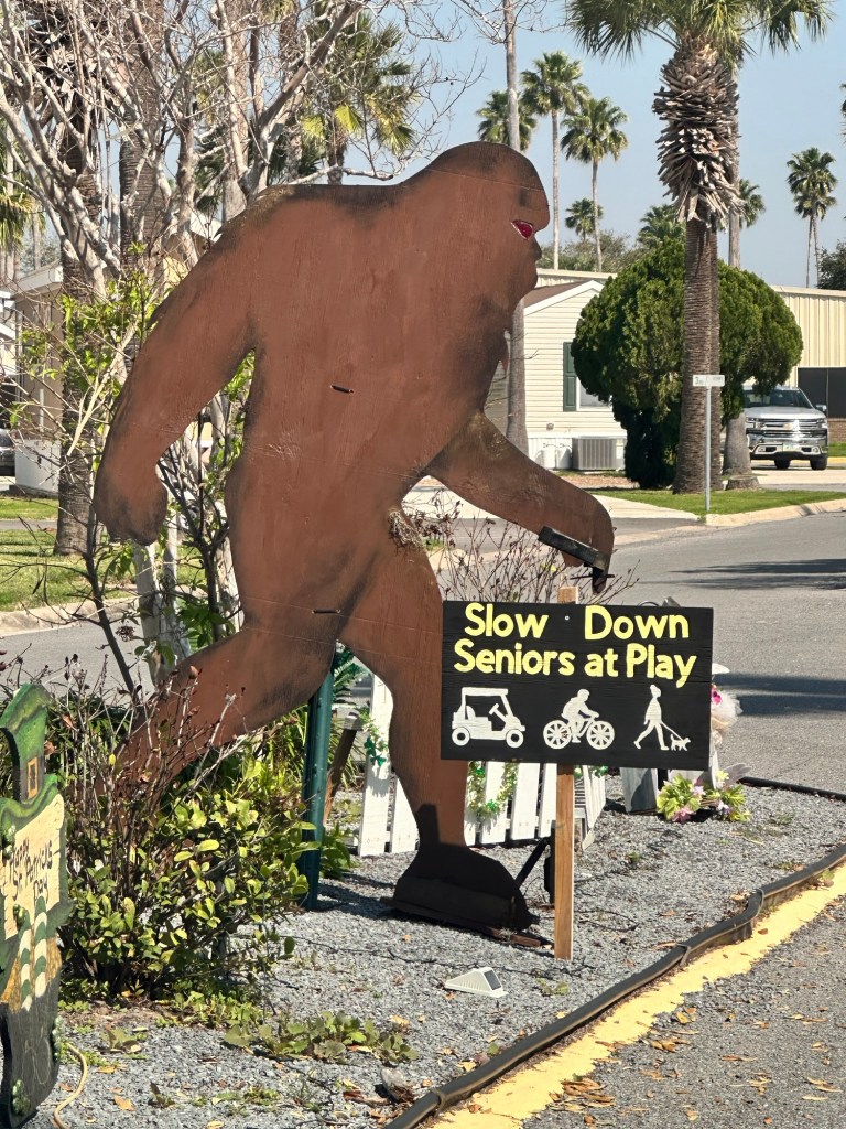 Seniors at Play in Encore Sunshine RV Resort in Harlingen, Texas. Picture by Happy Vegan Campers.