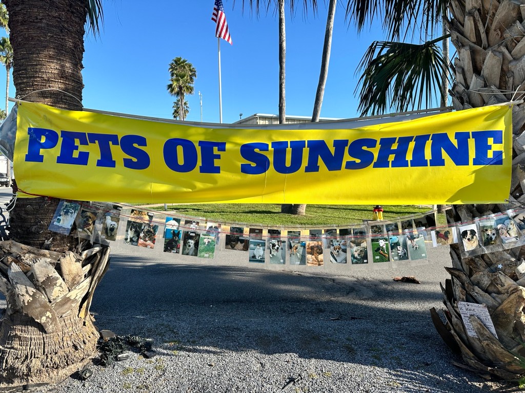 Pet pictures at Encore Sunshine RV Resort in Harlingen, Texas. Picture by Happy Vegan Campers.