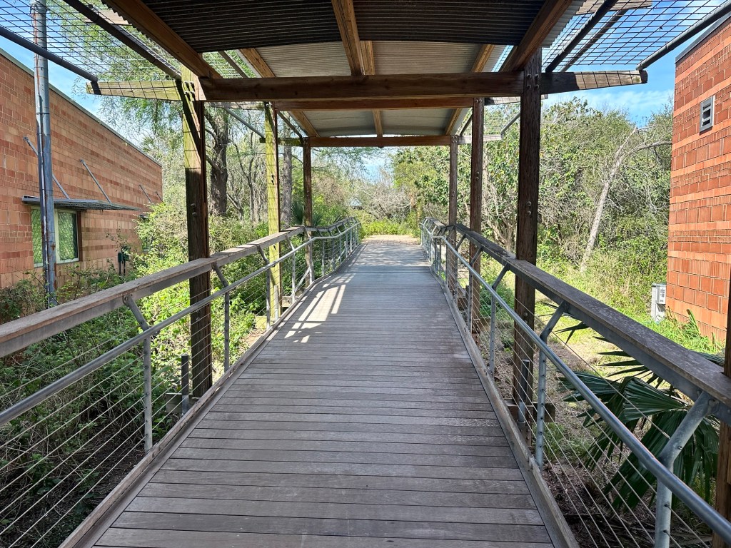 Estero Llano Grande State Park in Weslaco, Texas. Picture by Happy Vegan Campers.