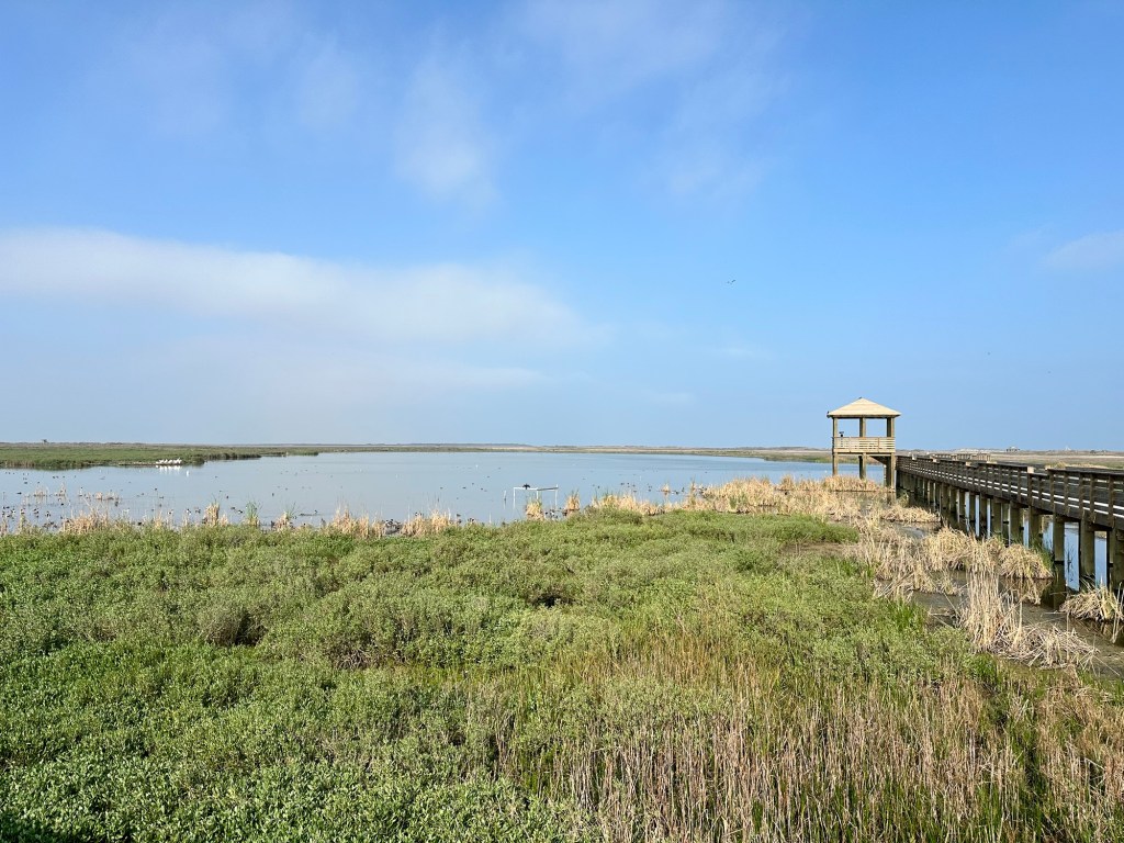 Port Aransas Nature Preserve in Port Aransas, Texas. Picture by Happy Vegan Campers.