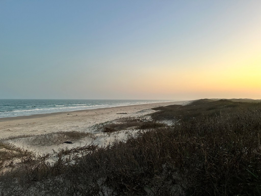 Beach at Mustang Island State Park in Corpus Christi, Texas. Picture by Happy Vegan Campers.