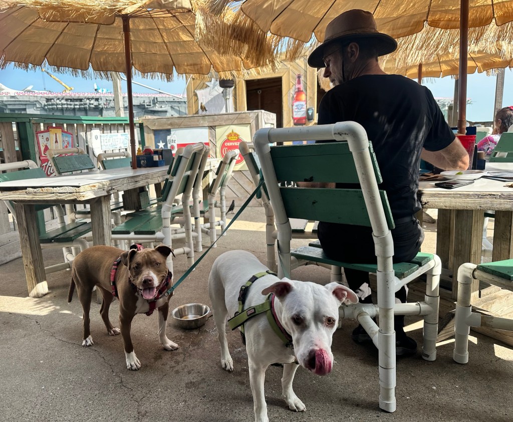 Daniel, Peter, and Marcel at a restaurant in Corpus Christi, Texas. Picture by Happy Vegan Campers.