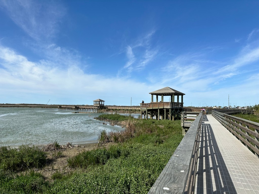 Port Aransas Bird Preserve in Port Aransas, Texas. Picture by Happy Vegan Campers.