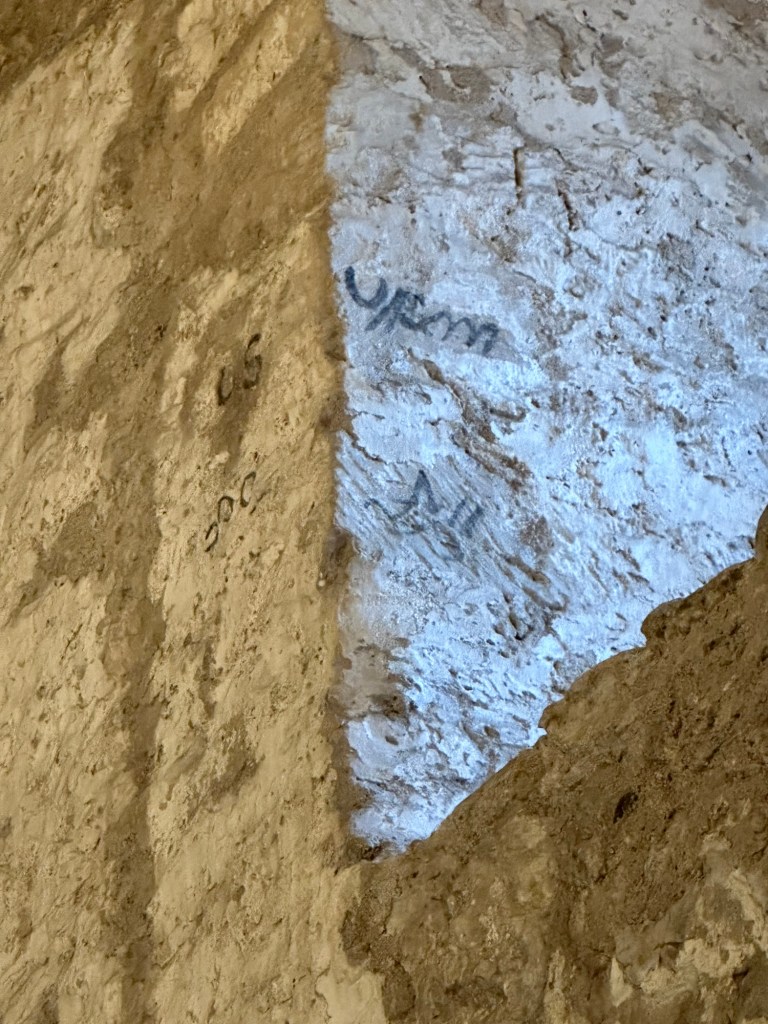 Happy Vegan Campers at the Alamo in San Antonio Texas 1850s graffiti