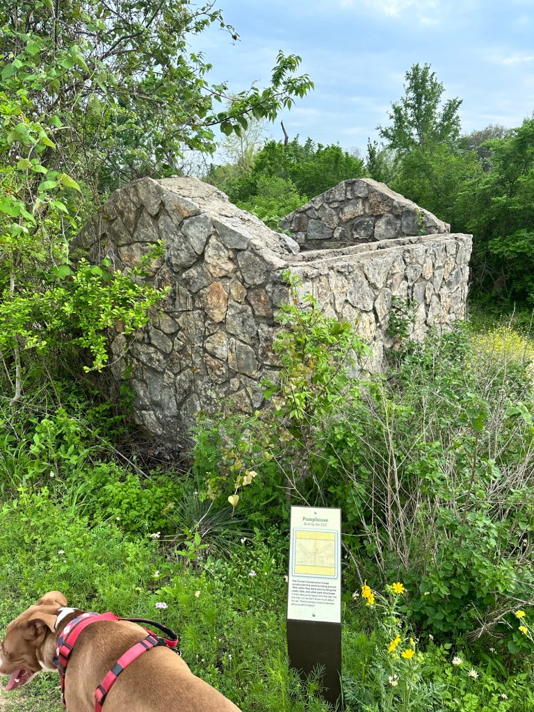 Happy Vegan Campers at Blanco State Park in Blanco Texas