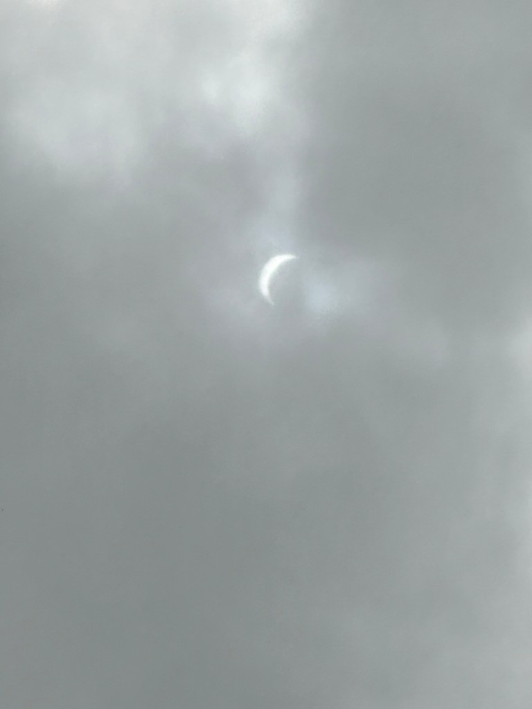 Happy Vegan Campers Total Eclipse in Blanco Texas