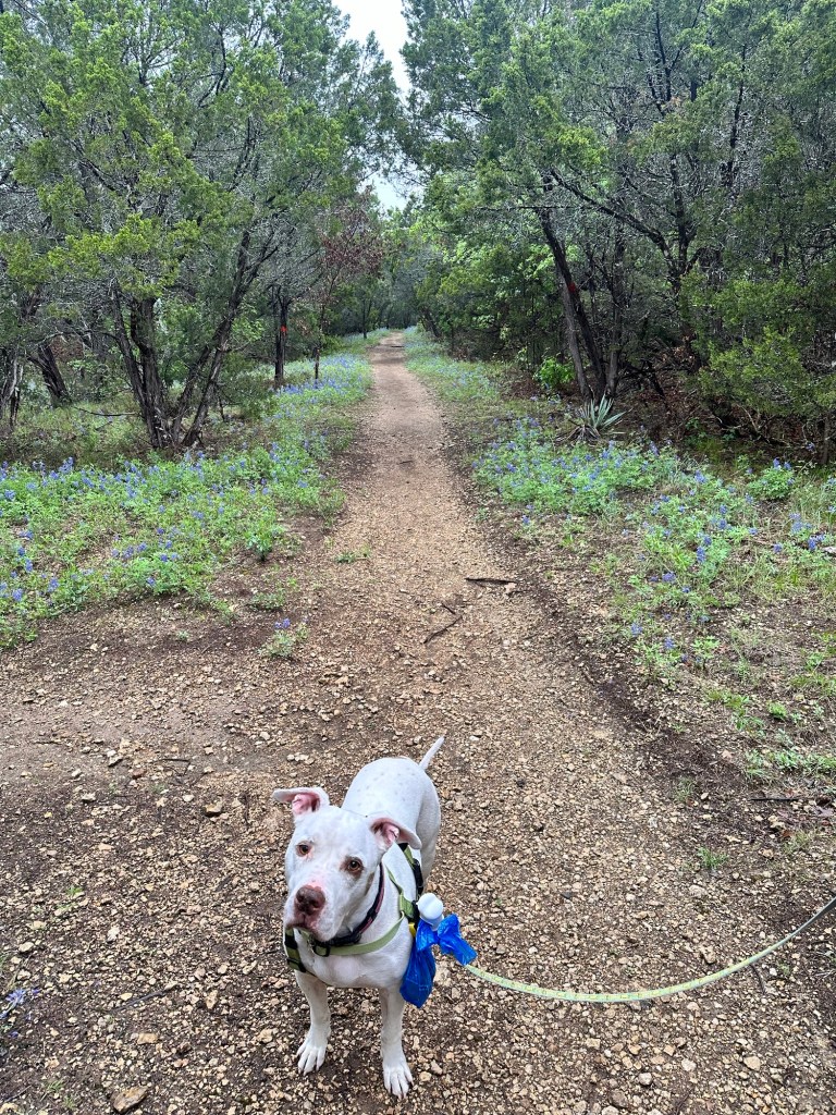 Trail at Meridian State Park in Meridian, Texas. Picture by Happy Vegan Campers.