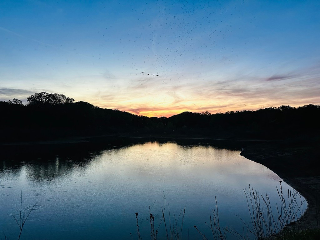 Sunset at Thousand Trails Lake Texoma in Gordonville, Texas. Picture by Happy Vegan Campers.