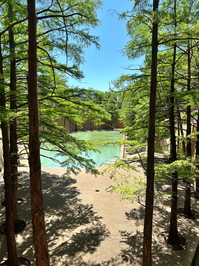 Happy Vegan Campers at Fort Worth Water Gardens Texas