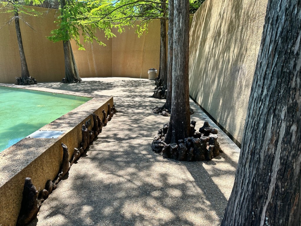 Happy Vegan Campers at Fort Worth Water Gardens Texas