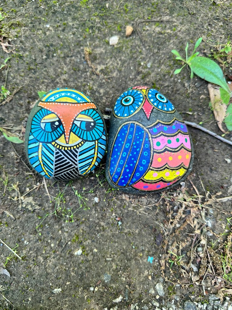 Happy Vegan Campers Parr Park Rock Art Trail in Grapevine Texas