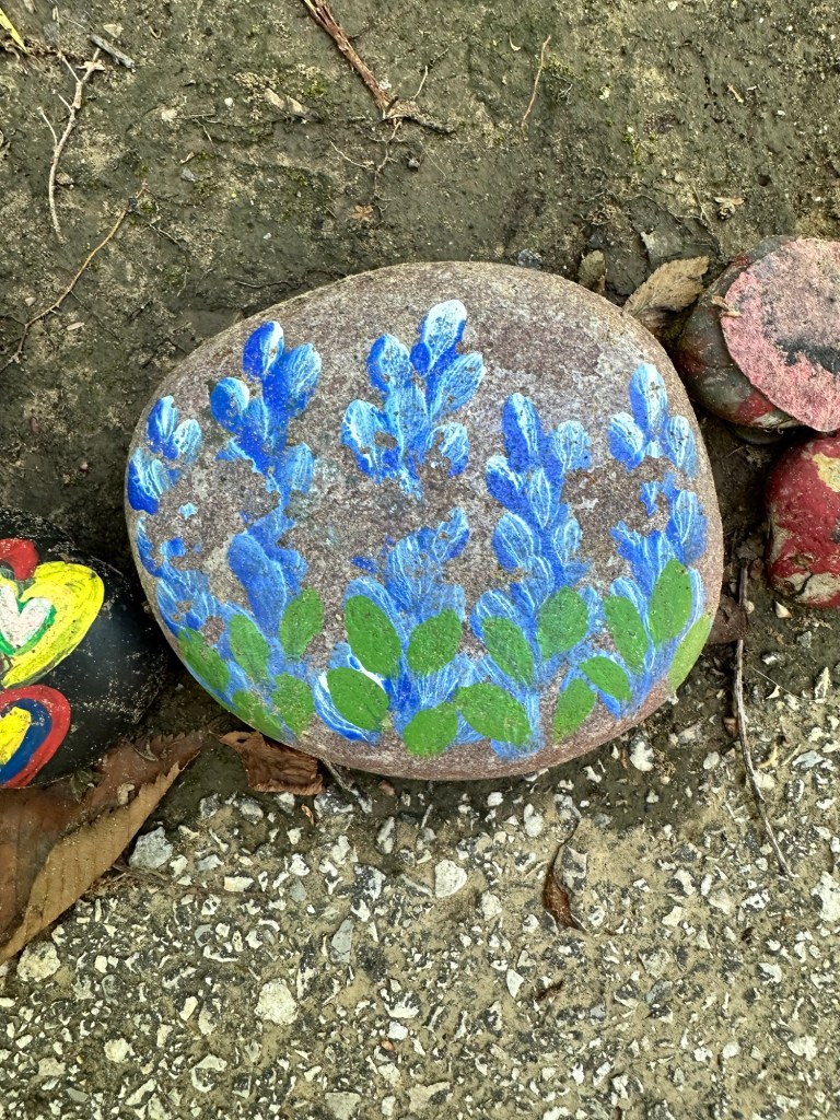 Happy Vegan Campers Parr Park Rock Art Trail in Grapevine Texas