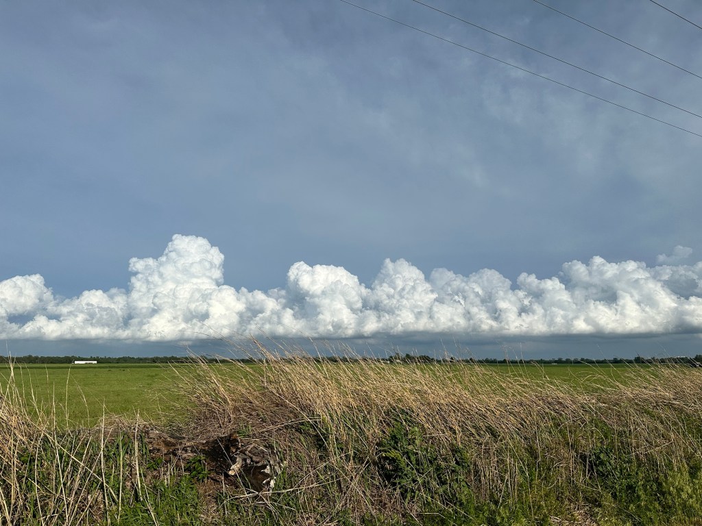Happy Vegan Campers clouds in Norman Oklahoma