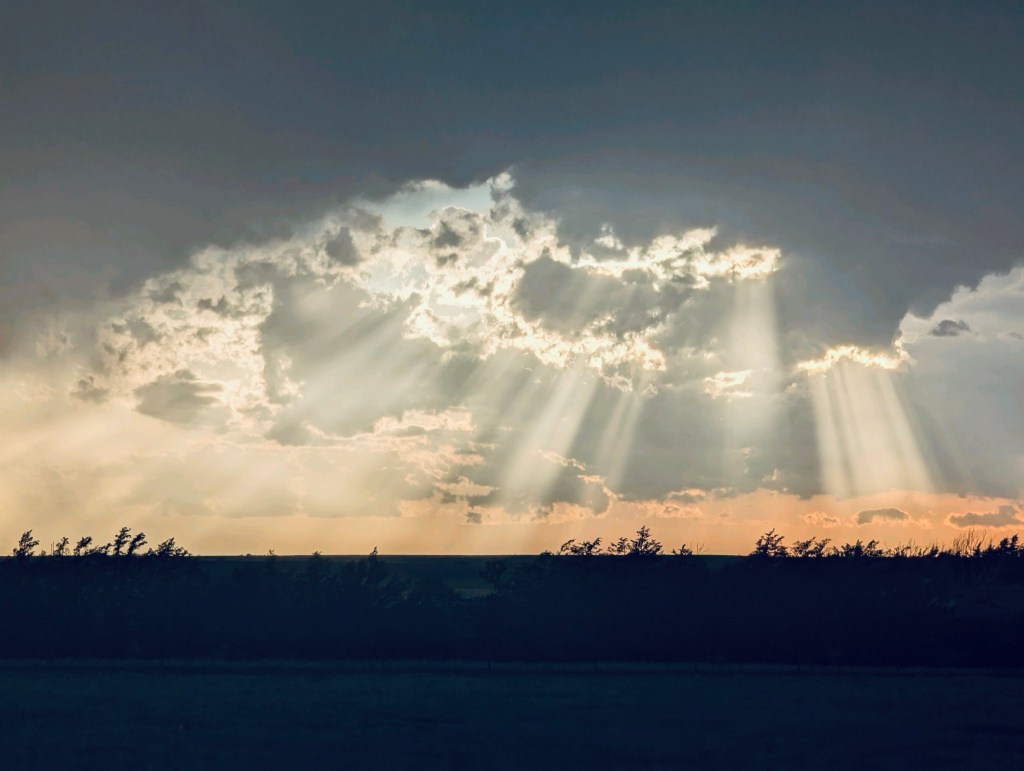 Happy Vegan Campers storms in Colorado