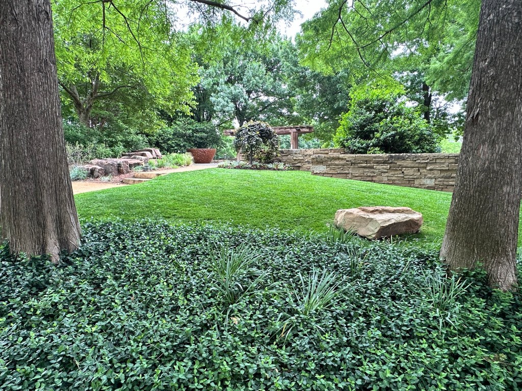 Happy Vegan Campers Myriad Botanical Garden in Oklahoma City Oklahoma myrtle