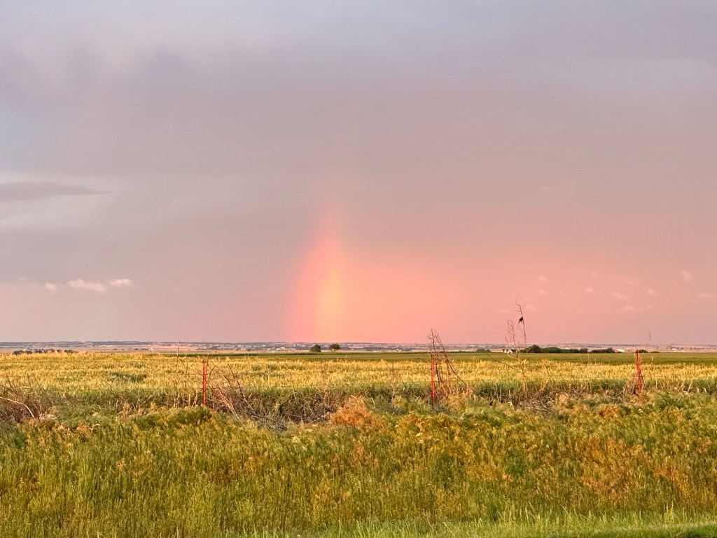 Happy Vegan Campers rainbow in Oklahoma