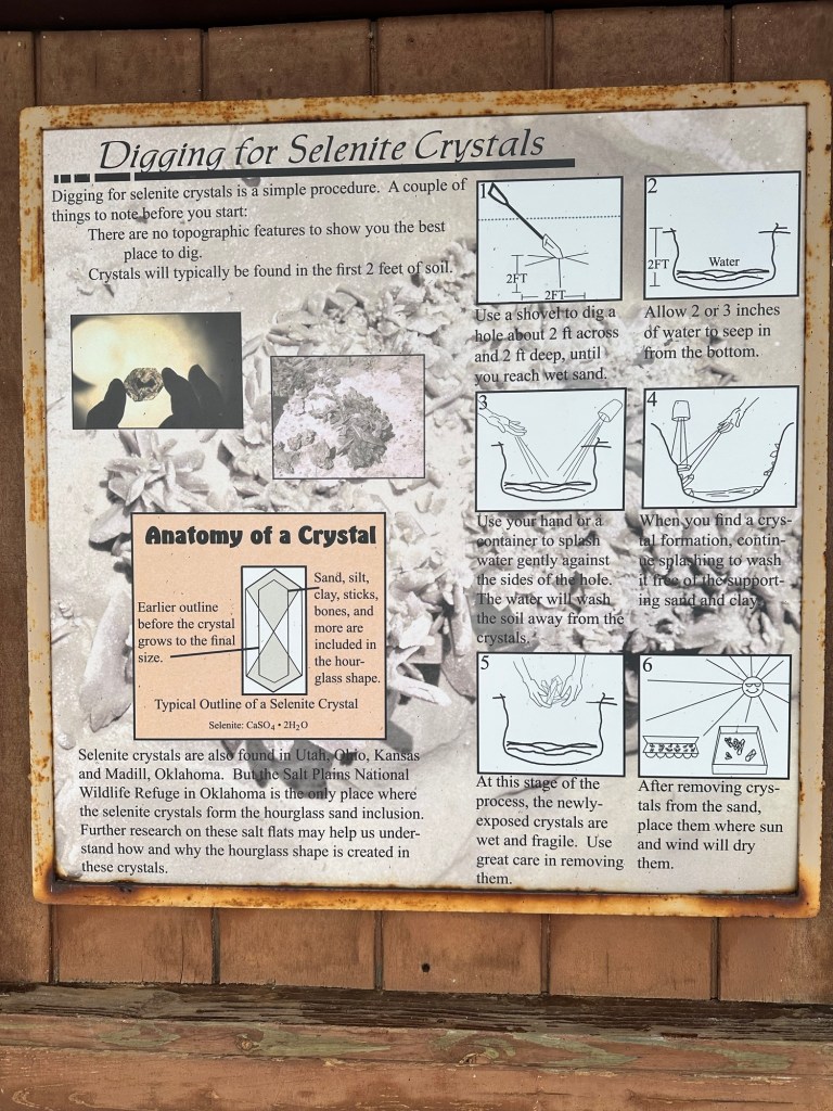 Happy Vegan Campers Salt Plains National Wildlife Refuge in Cherokee Oklahoma crystal information