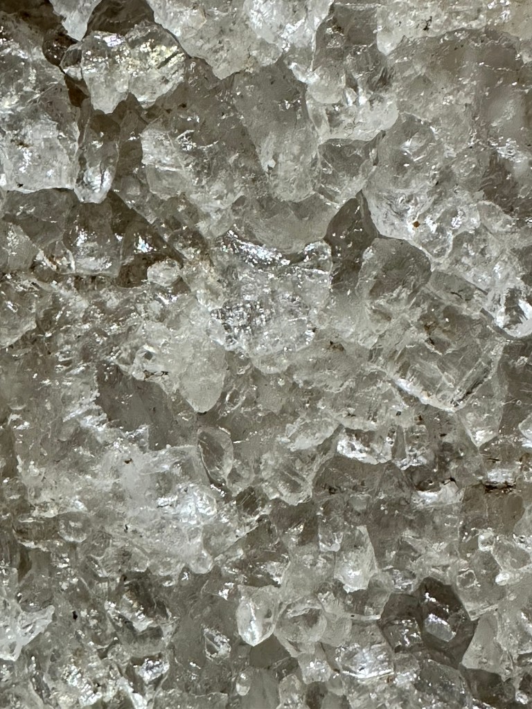 Happy Vegan Campers Strataca salt mine Hutchinson Kansas