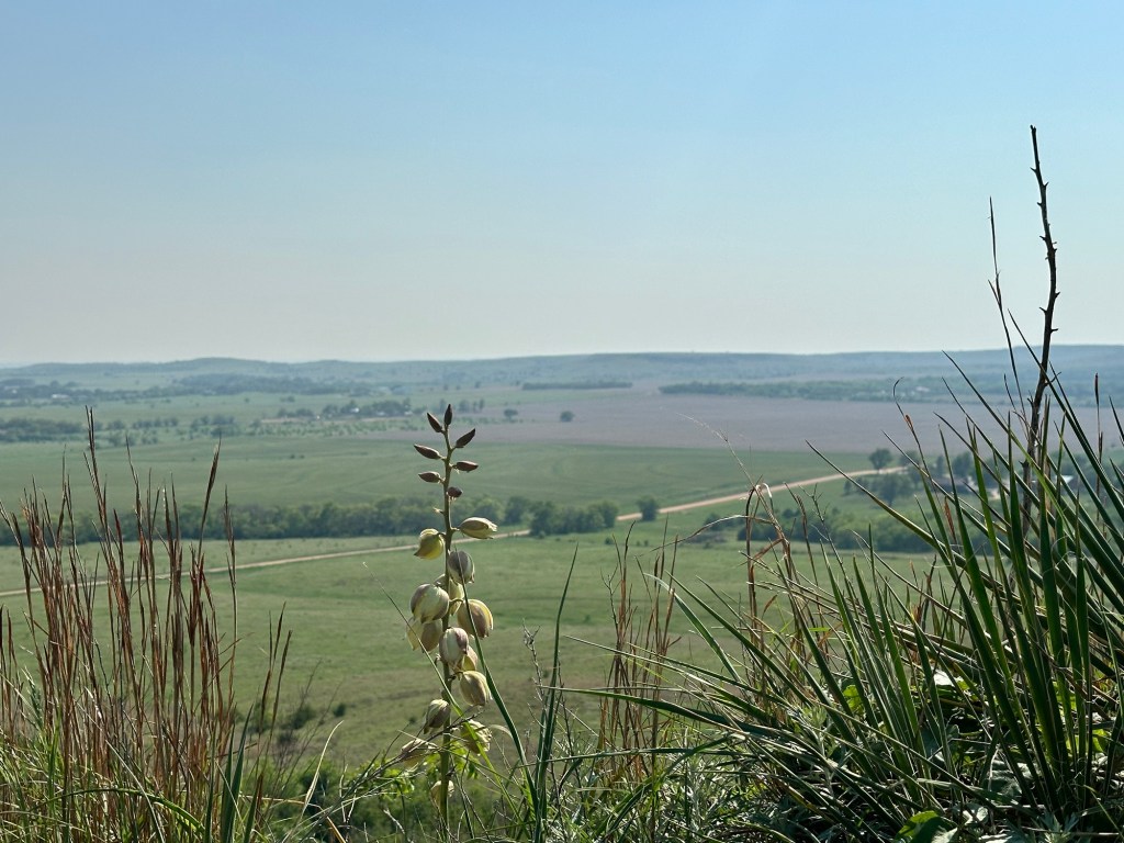 Happy Vegan Campers Coronado Heights in Falun Kansas view