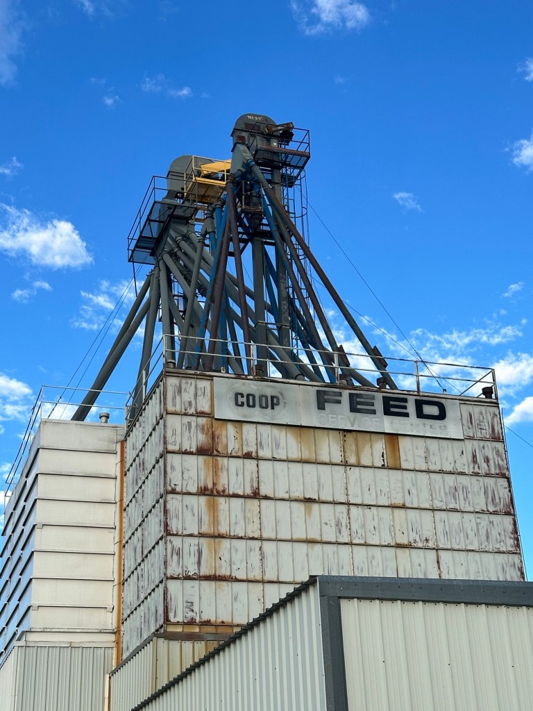 Happy Vegan Campers Seibert Colorado