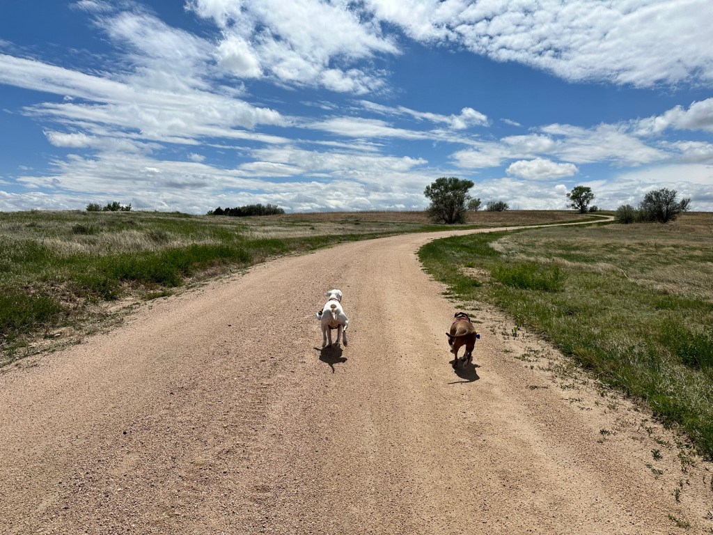 Happy Vegan Campers at Flagler Reservoir in Flagler Colorado