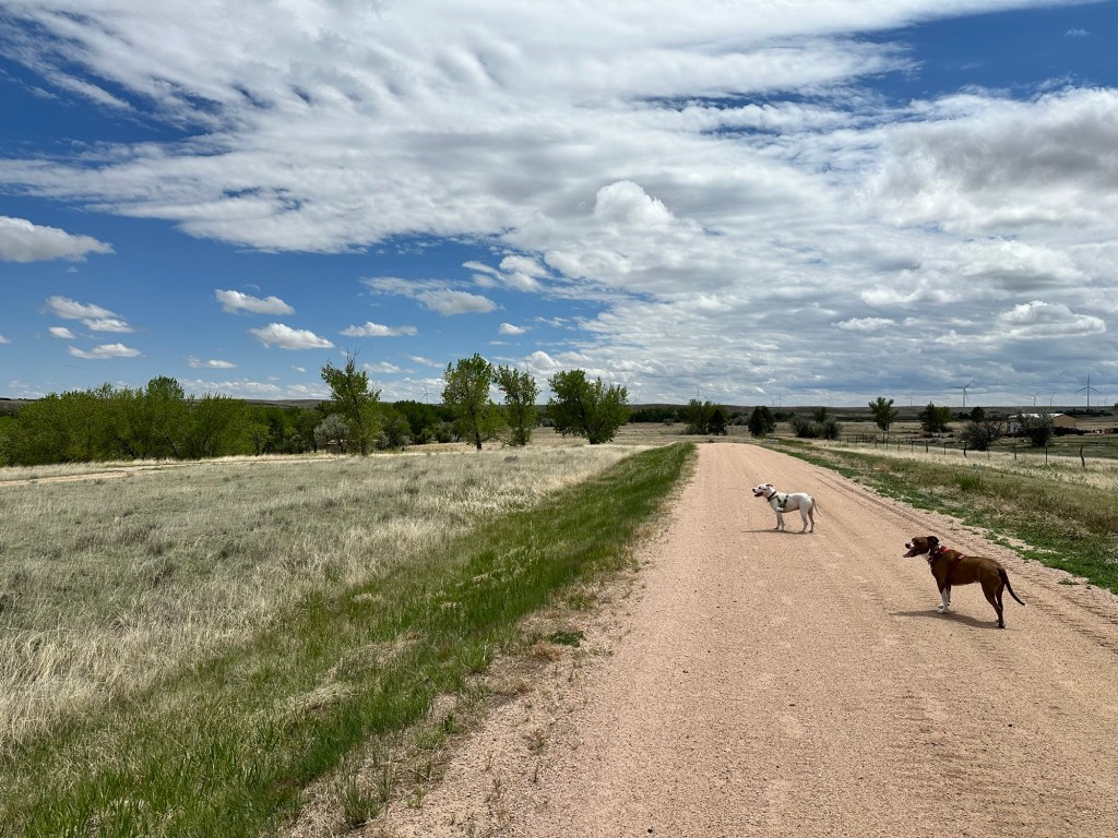 Happy Vegan Campers at Flagler Reservoir in Flagler Colorado