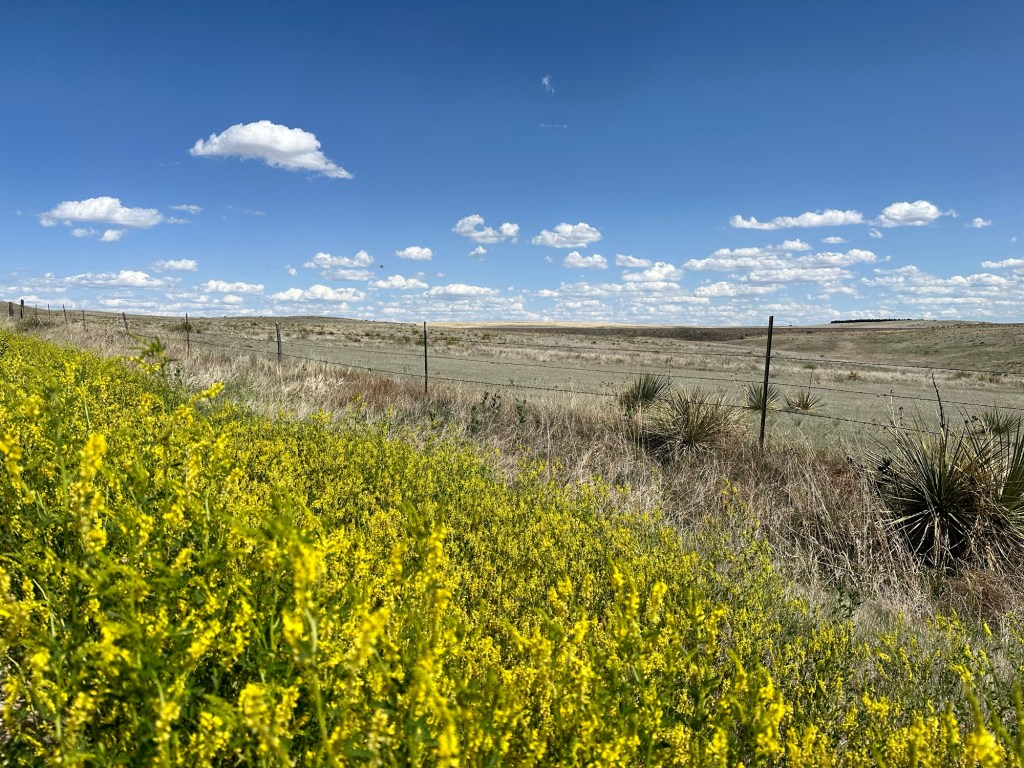 Happy Vegan Campers field in Flagler Colorado