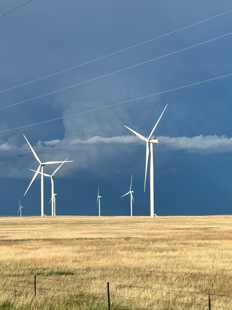 Happy Vegan Campers storms in Colorado