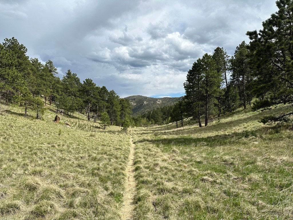 Happy Vegan Campers Pikes Peak Colorado