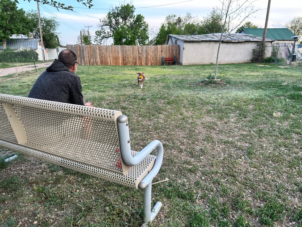 Happy Vegan Campers Shady Grove Campground in Seibert Colorado dog park