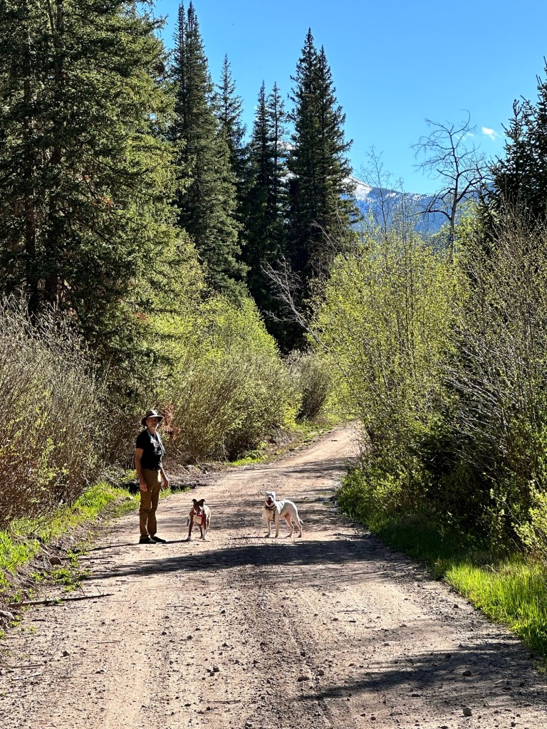 Happy Vegan Campers Red Cliff Colorado Shrine Pass