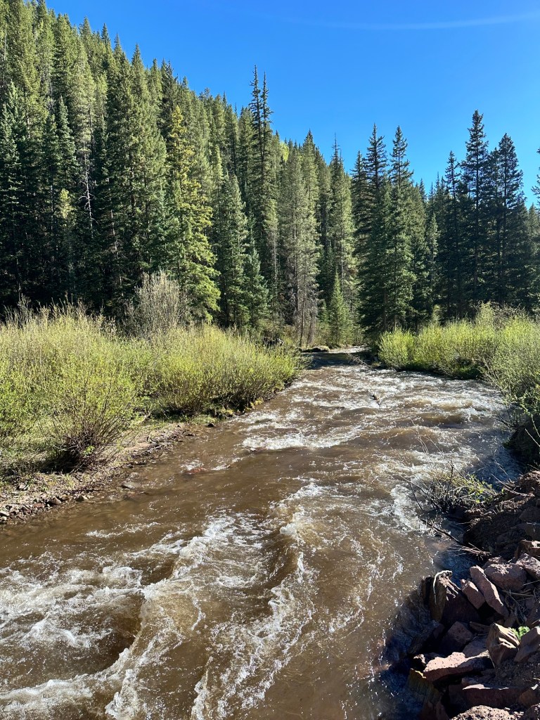 Happy Vegan Campers Red Cliff Colorado Shrine Pass