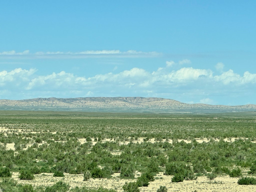 Happy Vegan Campers Wyoming